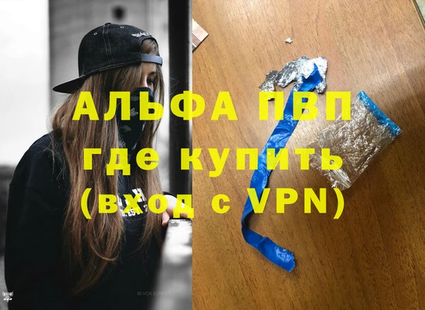 гидра Надым