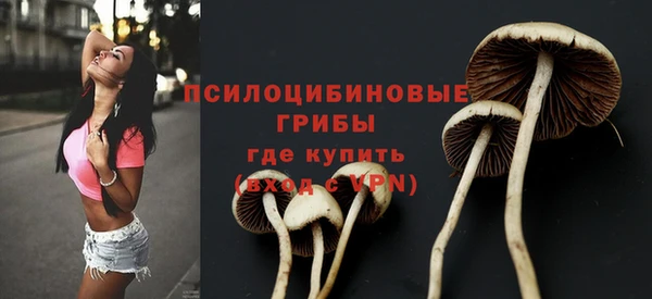гидра Надым