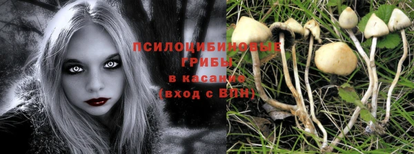 соль курить ск Наволоки