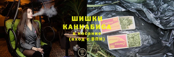 стаф Новодвинск
