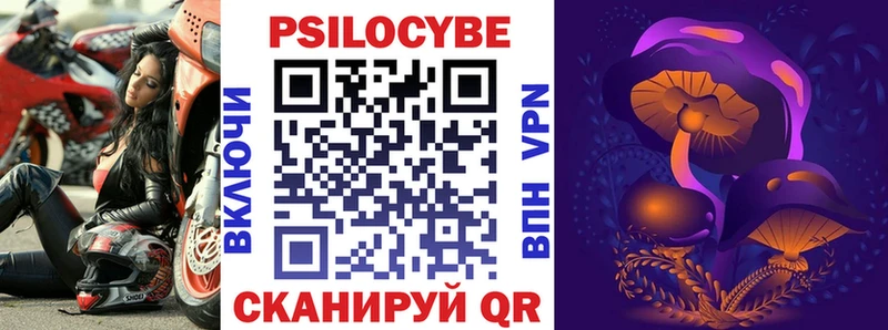 Псилоцибиновые грибы Psilocybine cubensis  Приморск 